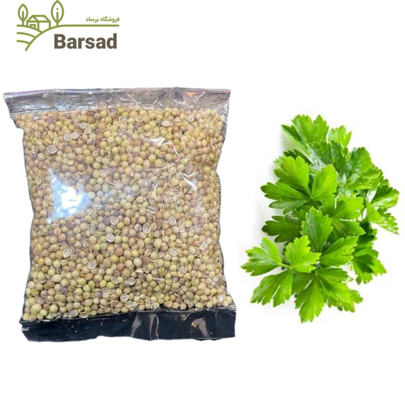 بذر گشنیز اصلاح شده