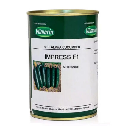 بذر خیار ویلمورین ایمپرس فرانسه اصل  | خرید بذر خیار ویلمورین اصل 5000 عددی
