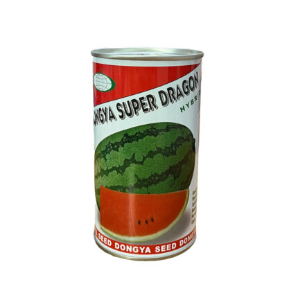 بذر هندوانه سوپر دراگون هلند 2026: راز یک برداشت پربار و شیرین | رویال اسلویس