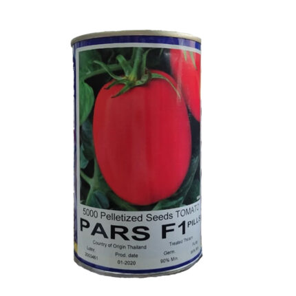 بذر گوجه فرنگی هیبرید پارس F1 استار سیدز